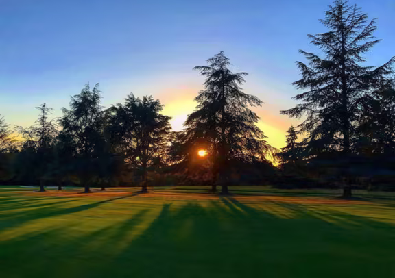 Image Golf de Palmola